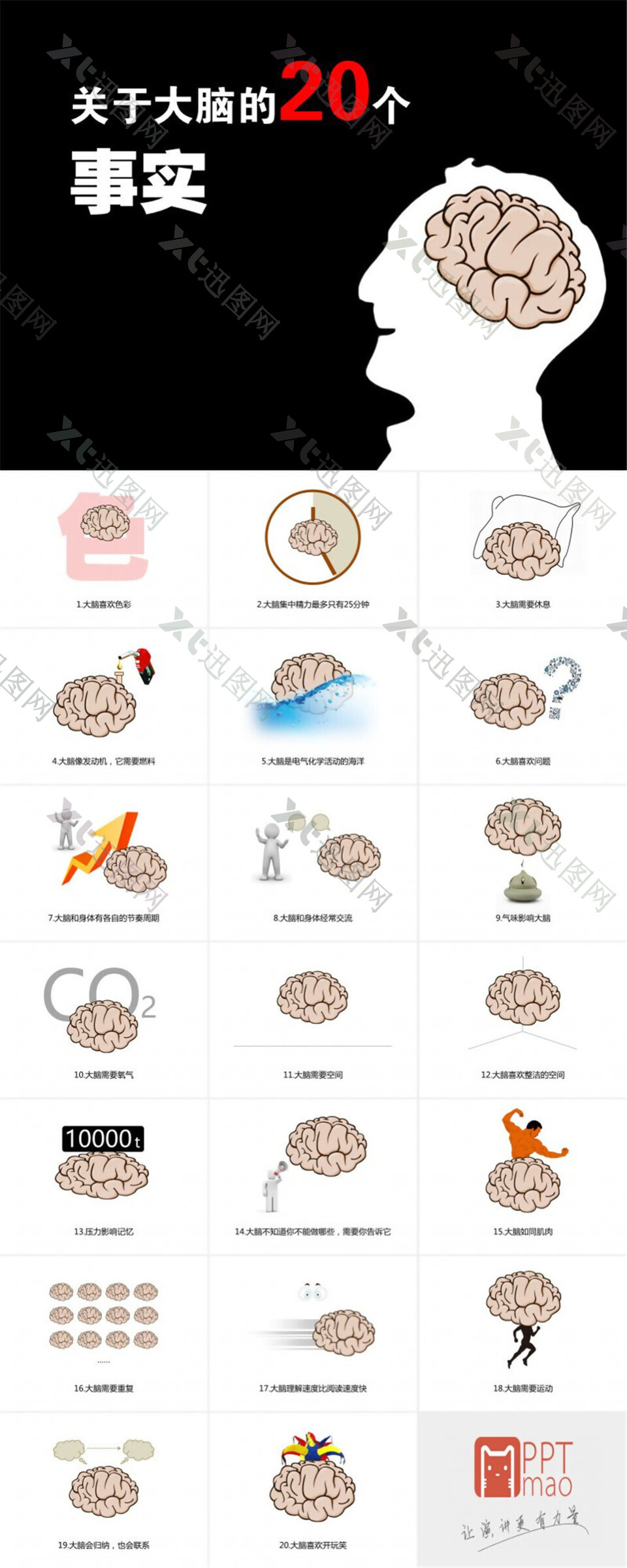 关于大脑的20个事实——适合职场培训的ppt模板