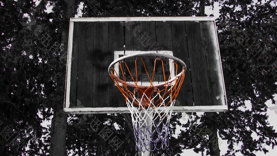 篮球,运动,净