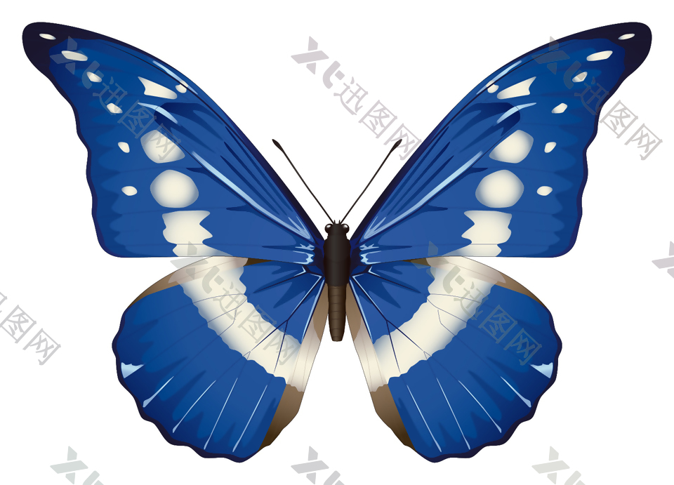 蓝色蝴蝶矢量素材
