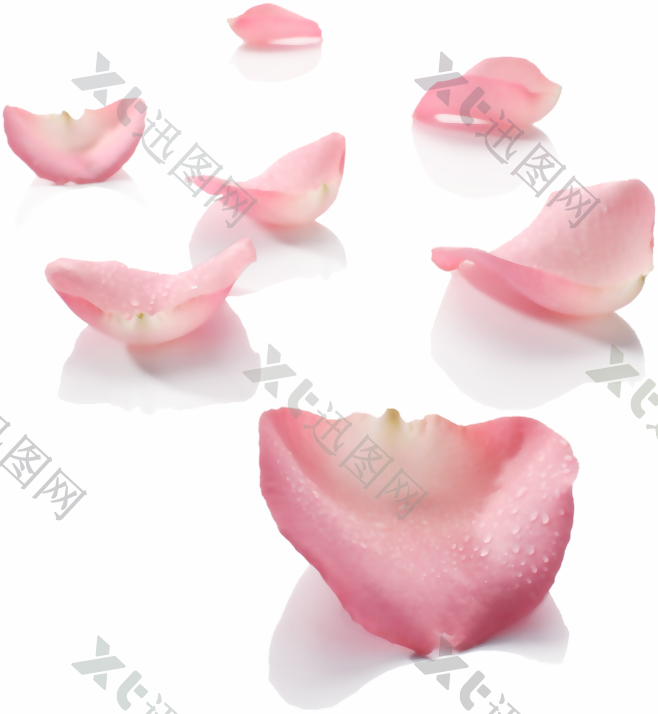 花 设计素材 png 透明 素材