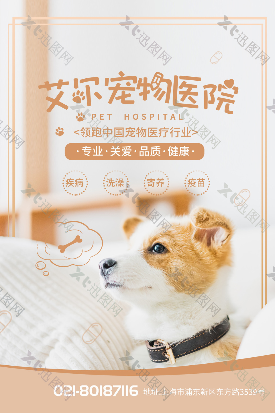 宠物医院动物诊所宣传海报图片素材