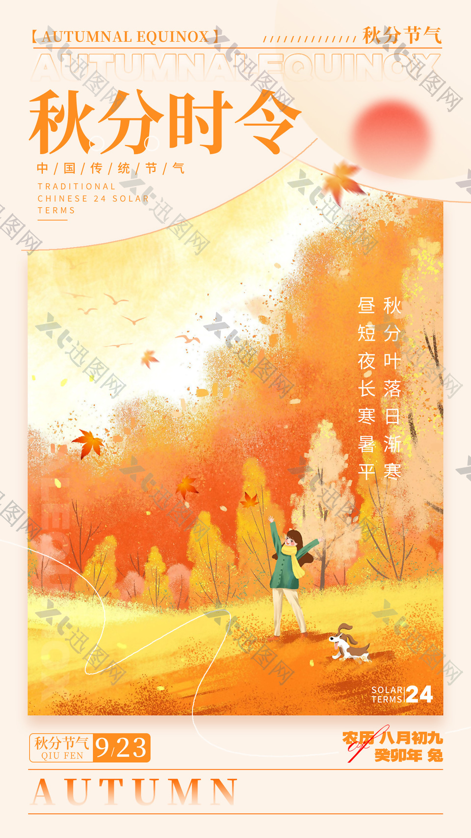 秋分时令传统节气秋日插画海报设计