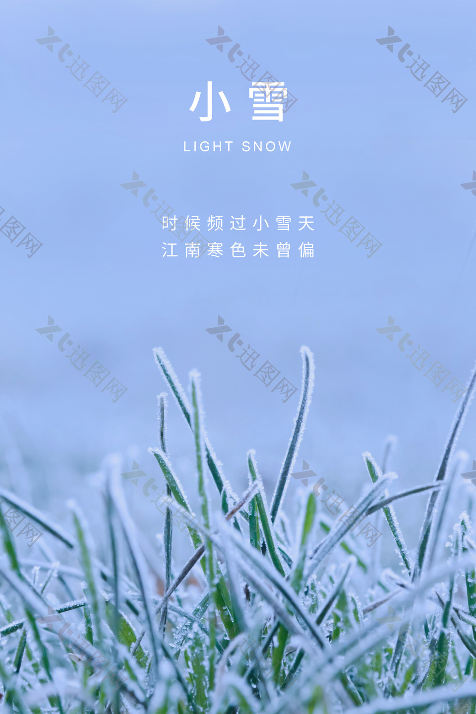 小雪节气冬日小草摄影图海报