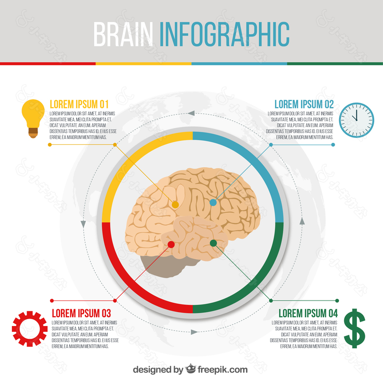 圆脑的信息图表模板