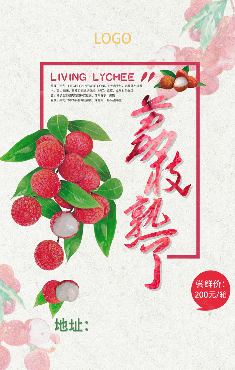 荔枝美食宣传海报