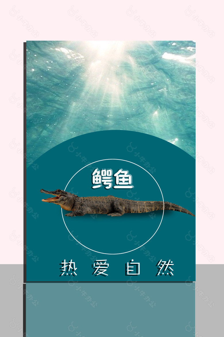 鳄鱼公益宣传海报