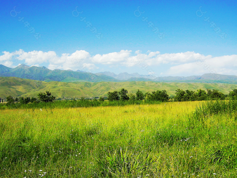 草原风景H5背景图