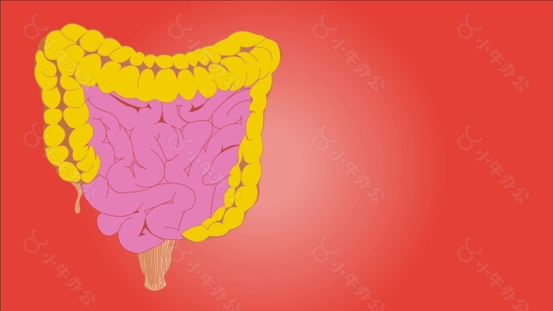 人物身体大肠小肠视频