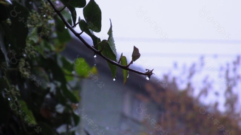 大雨过后的小镇视频