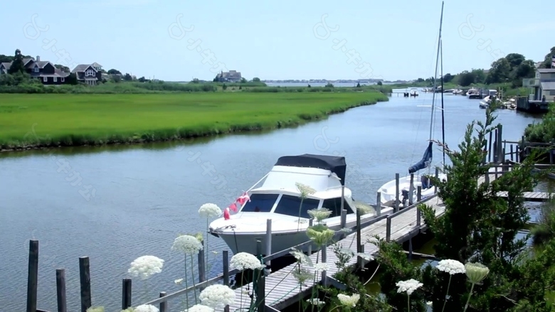 城市河流风景视频