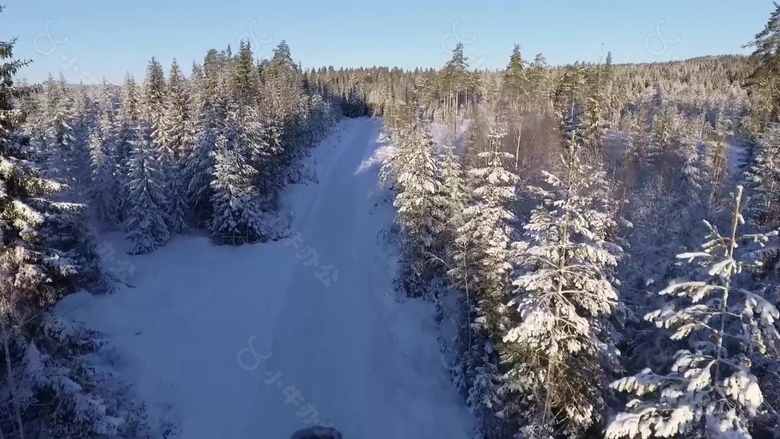 大自然森林雪景视频