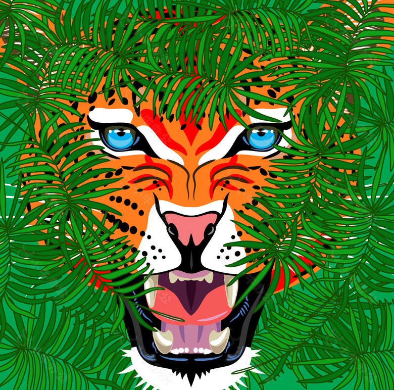 TIGER老虎插画