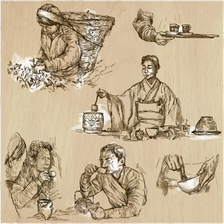 手绘喝茶和采茶的插画