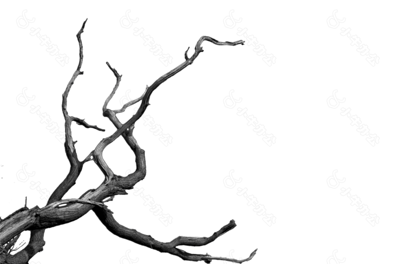 手绘树枝枯枝元素