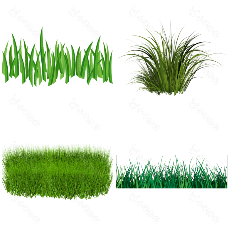 鲜嫩绿草免抠png透明图层素材