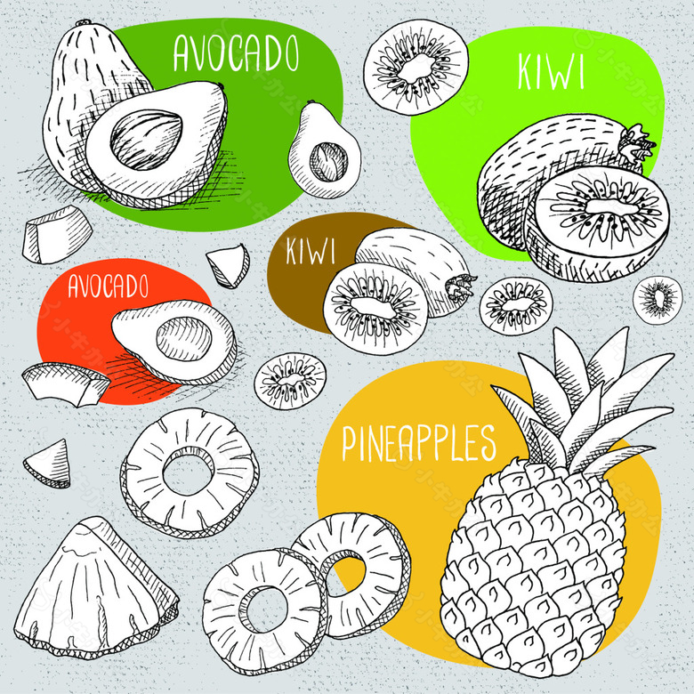 黑白线条菠萝水果茶果蔬矢量图