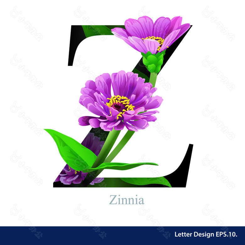 花卉英文字母z字体设计