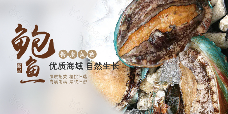 小鲍鱼网页banner