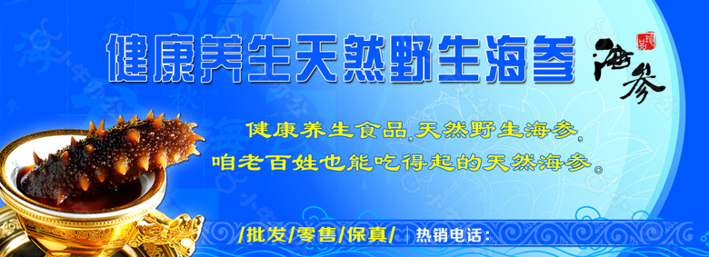 健康养生天然野生海参宣传海报