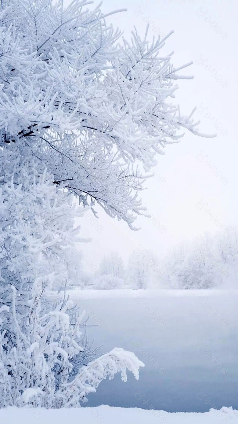 冬季雪花树枝H5背景素材