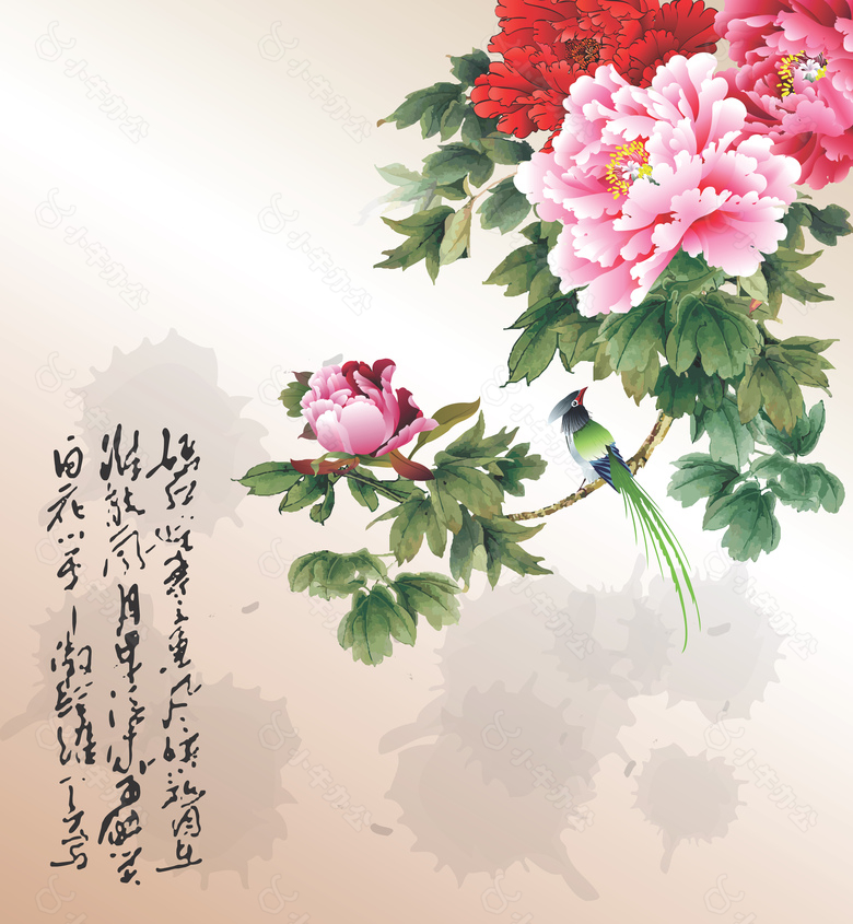 牡丹花背景墙素材