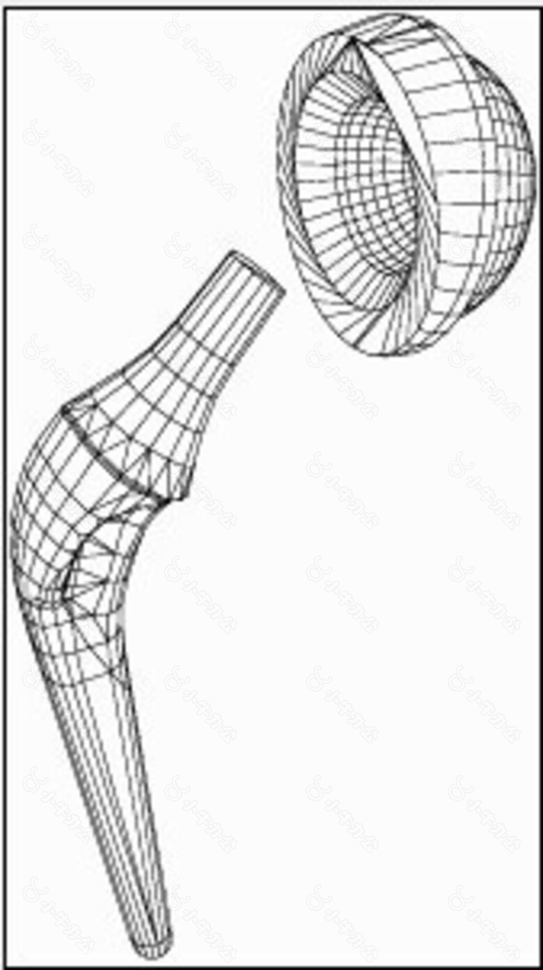三维立体人体关节模型素材