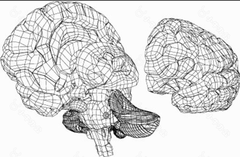 动画三维立体大脑分解设计图
