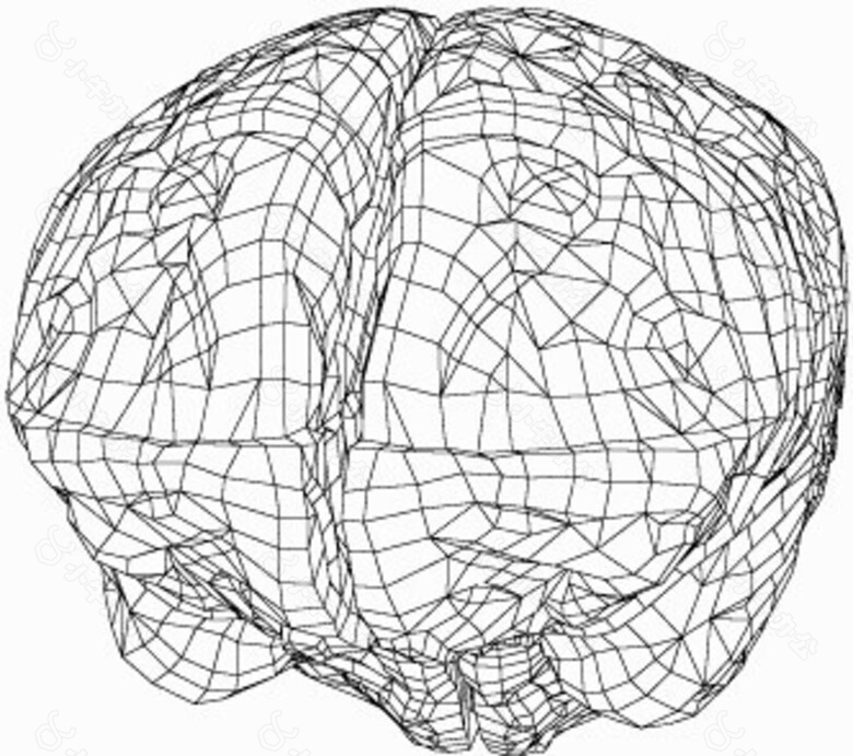 动画三维大脑模型素材