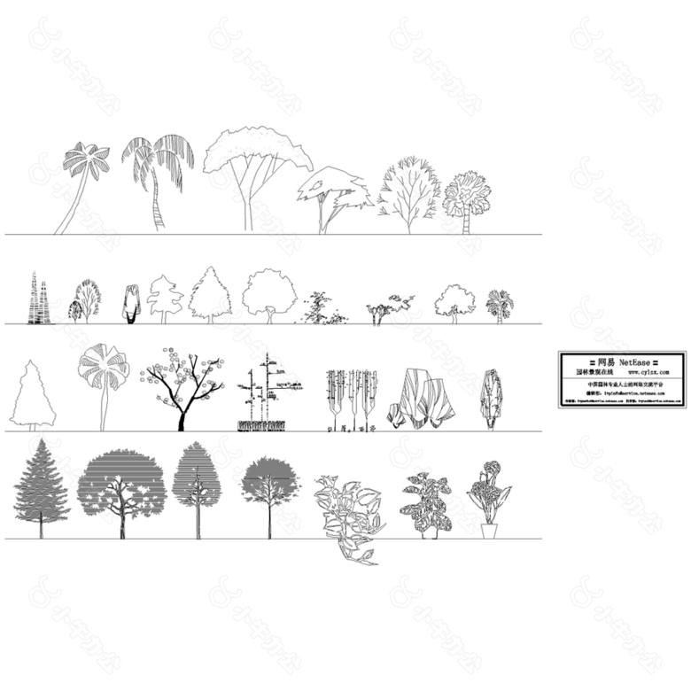 园林立面植物CAD图例