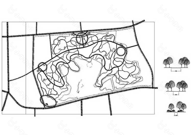 县城某公园道路分析CAD图纸