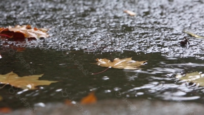 雨后水岸流水视频素材