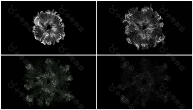烟雾花朵震撼实用的冲击波视频素材