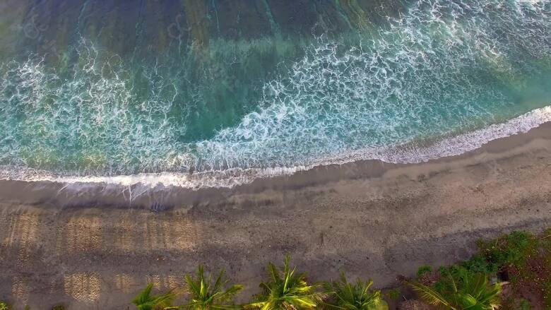 空中拍摄的海滩和棕榈树