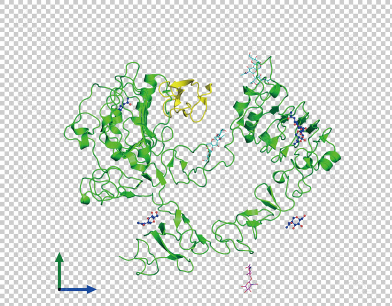 绿色分子模型免抠png透明图层素材