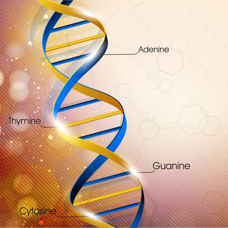 精美立体的基因链背景素材