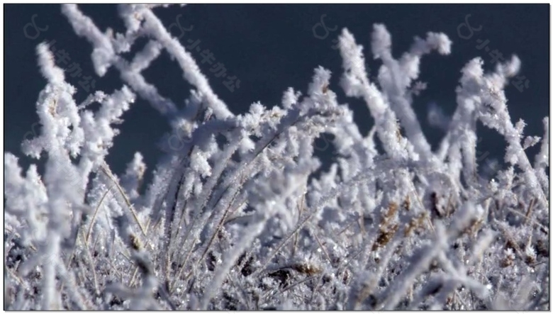 雪景动态视频素材