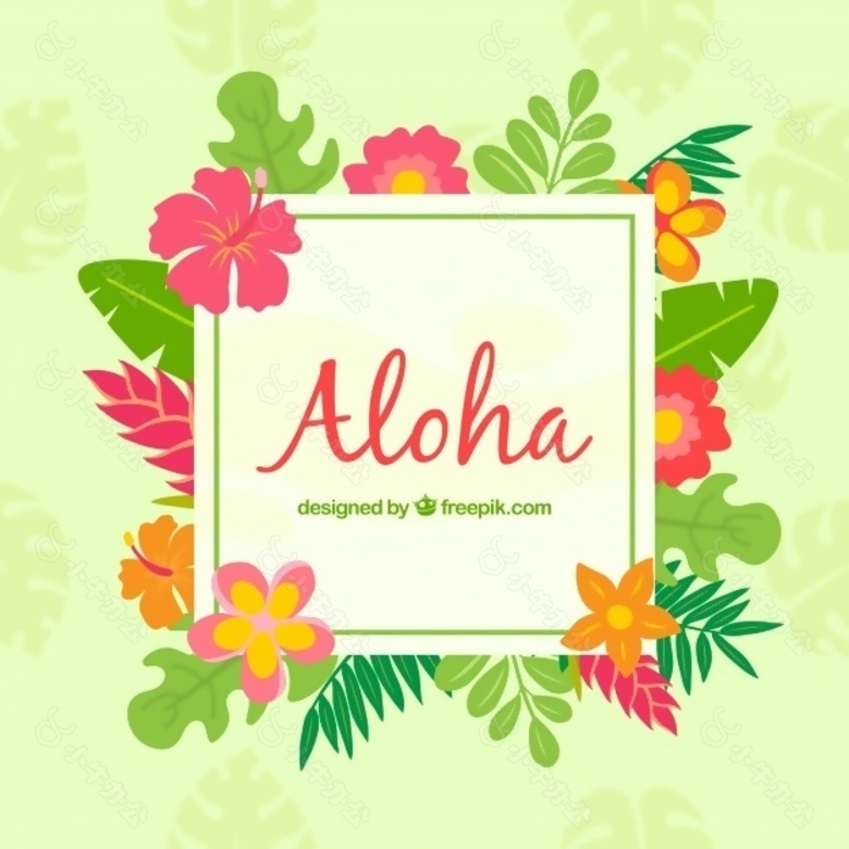 ALOHA背景与热带花卉