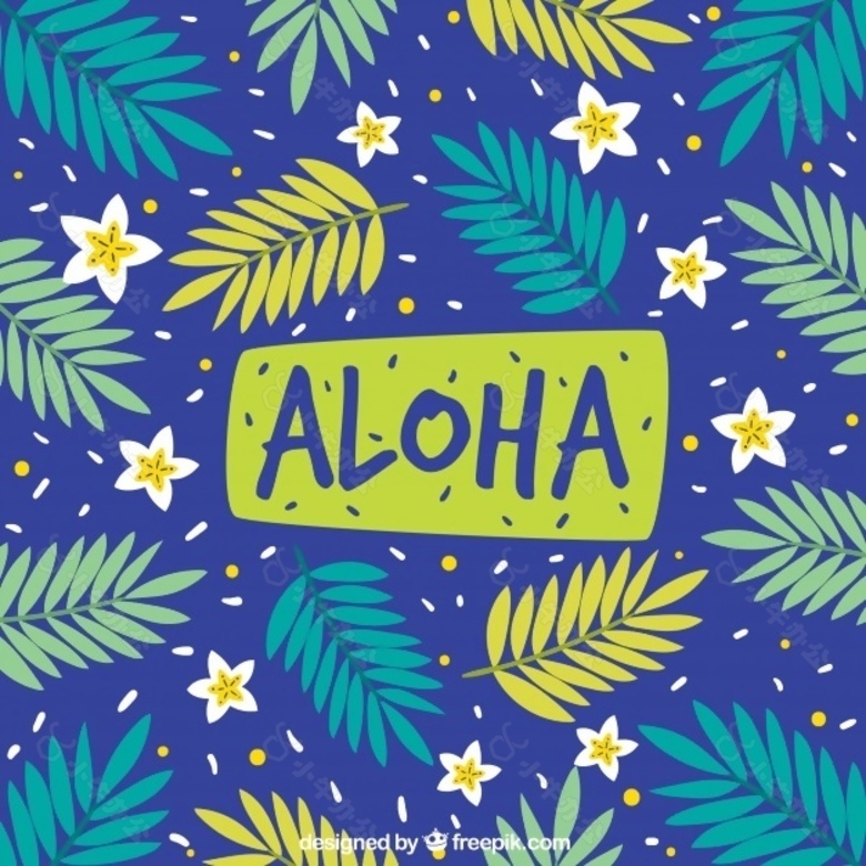 ALOHA模式的背景