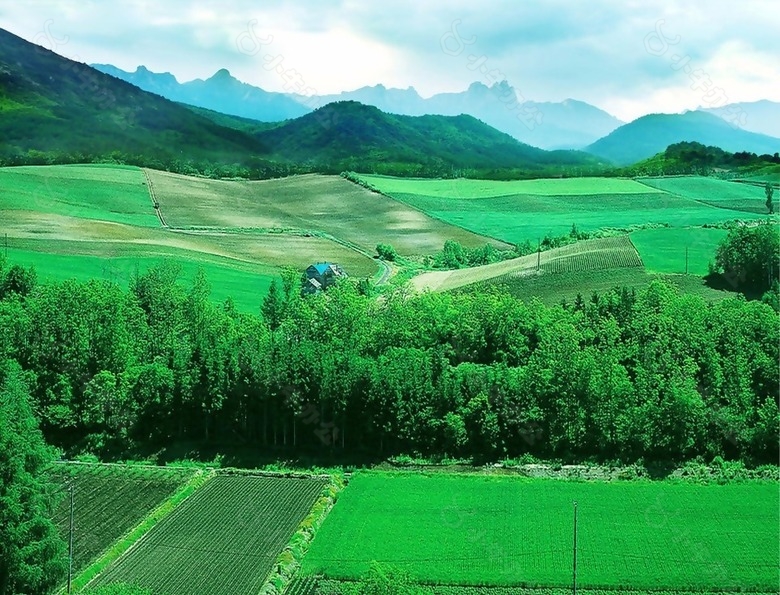 绿色田园风光背景素材