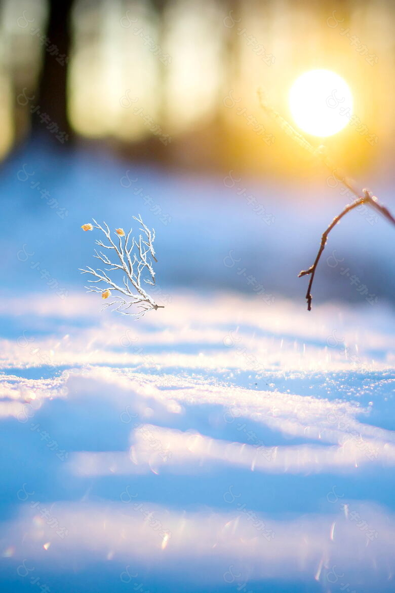 温馨阳光雪花背景