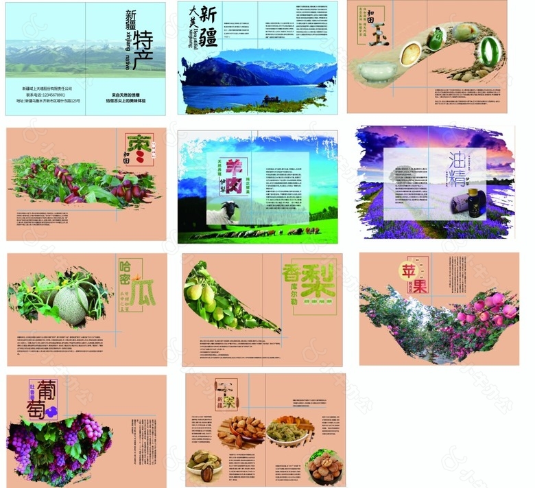 新疆特产画册