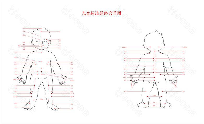 儿童全身穴位图