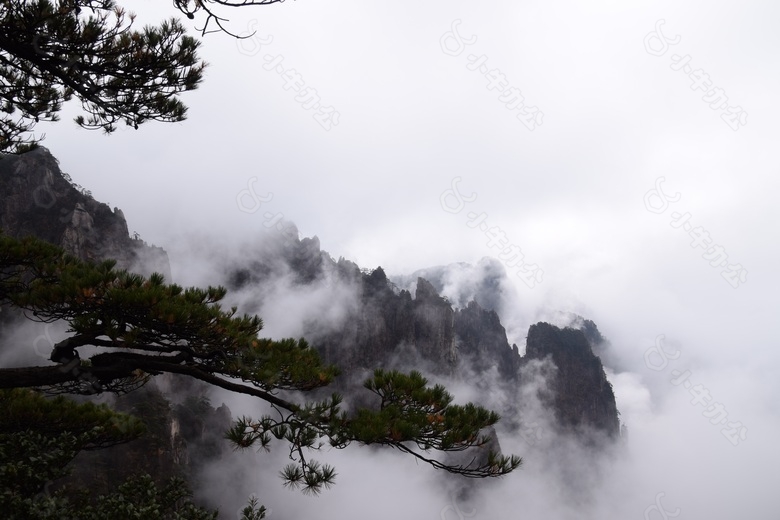 水墨风迎客松云海装饰画