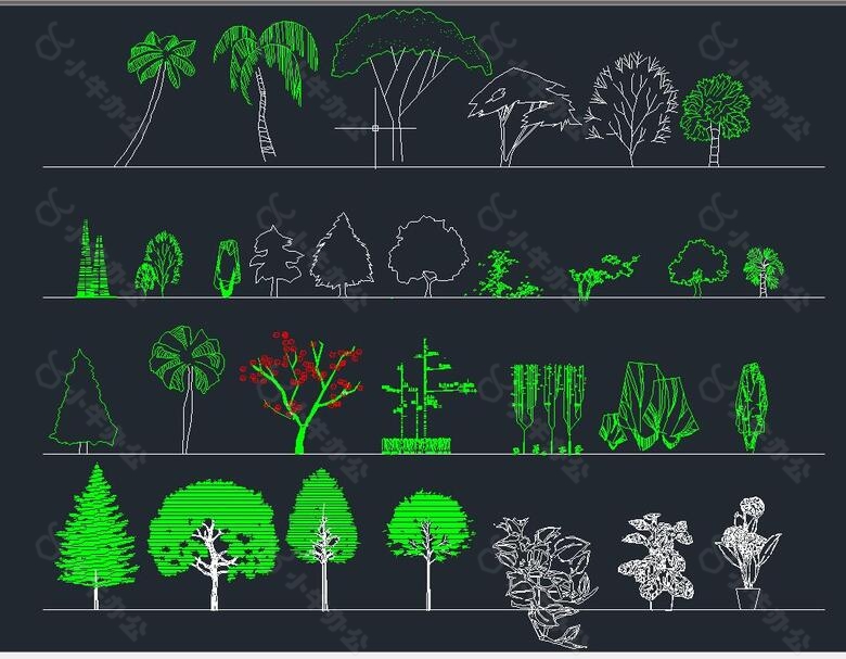 园林立面植物图