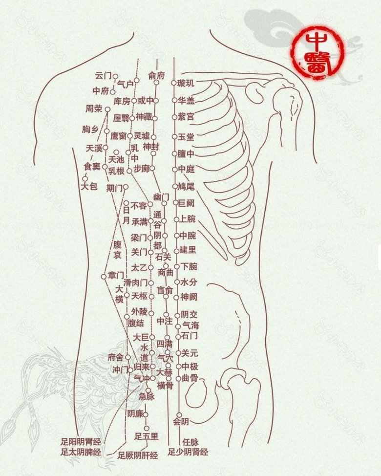 中医/中医脊柱展板