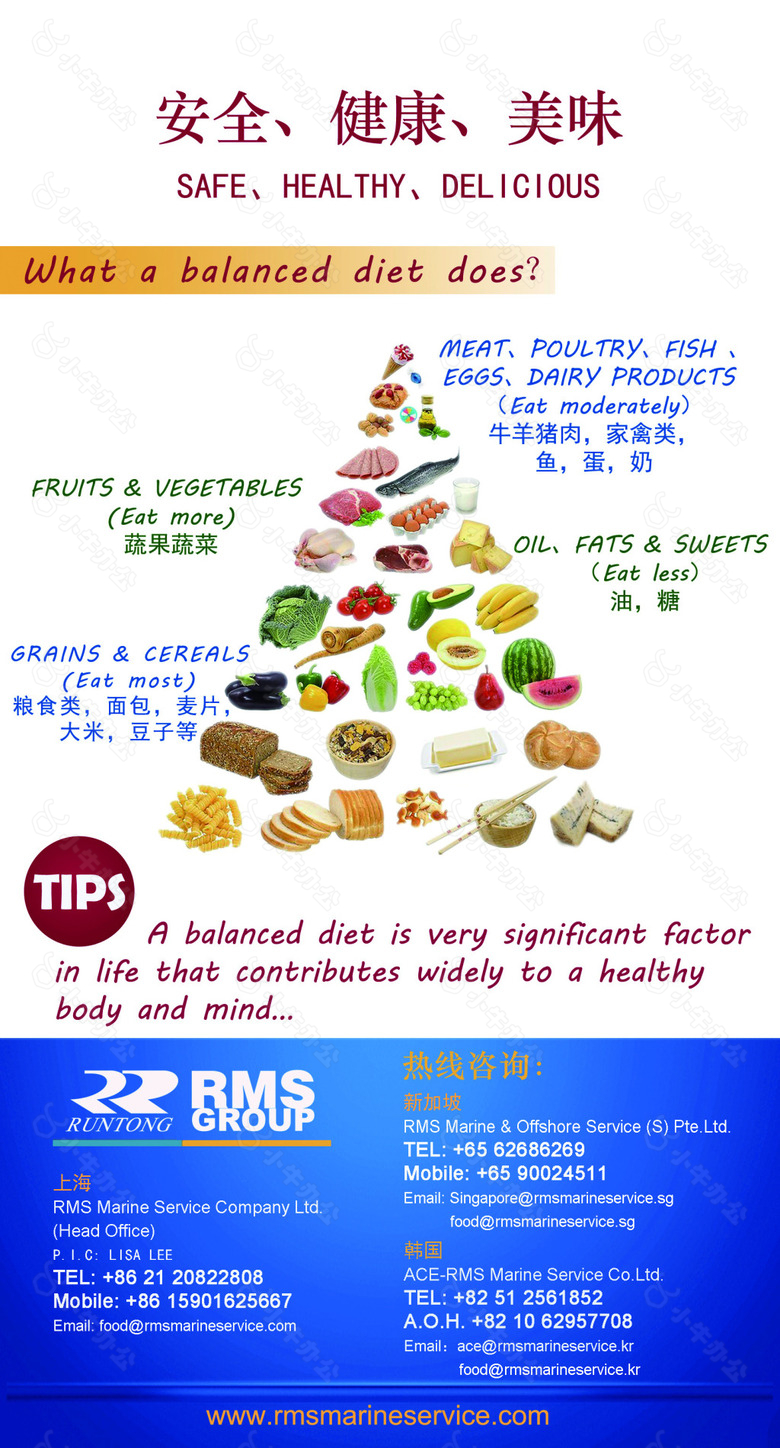 膳食金字塔