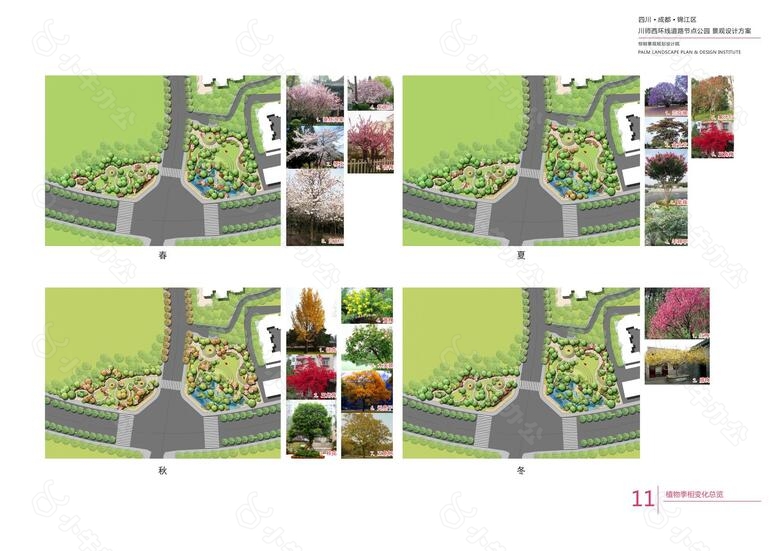 10.成都锦江区川师西环线道路节点公园景观方案——棕榈