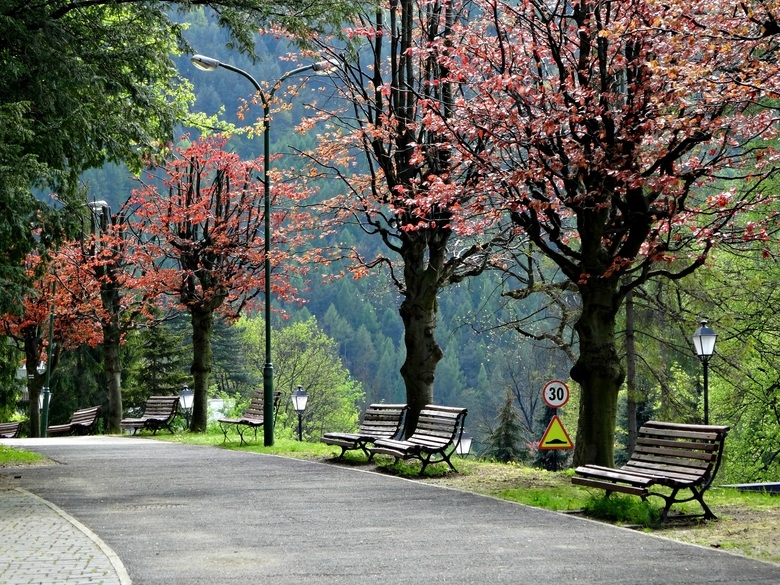 szczawnica的城市,pieniny,波兰