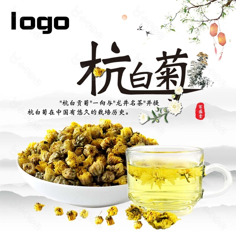 杭白菊花茶淘宝主图