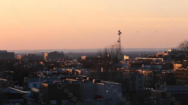 实拍夕阳下城市上空飞过的小鸟视频素材